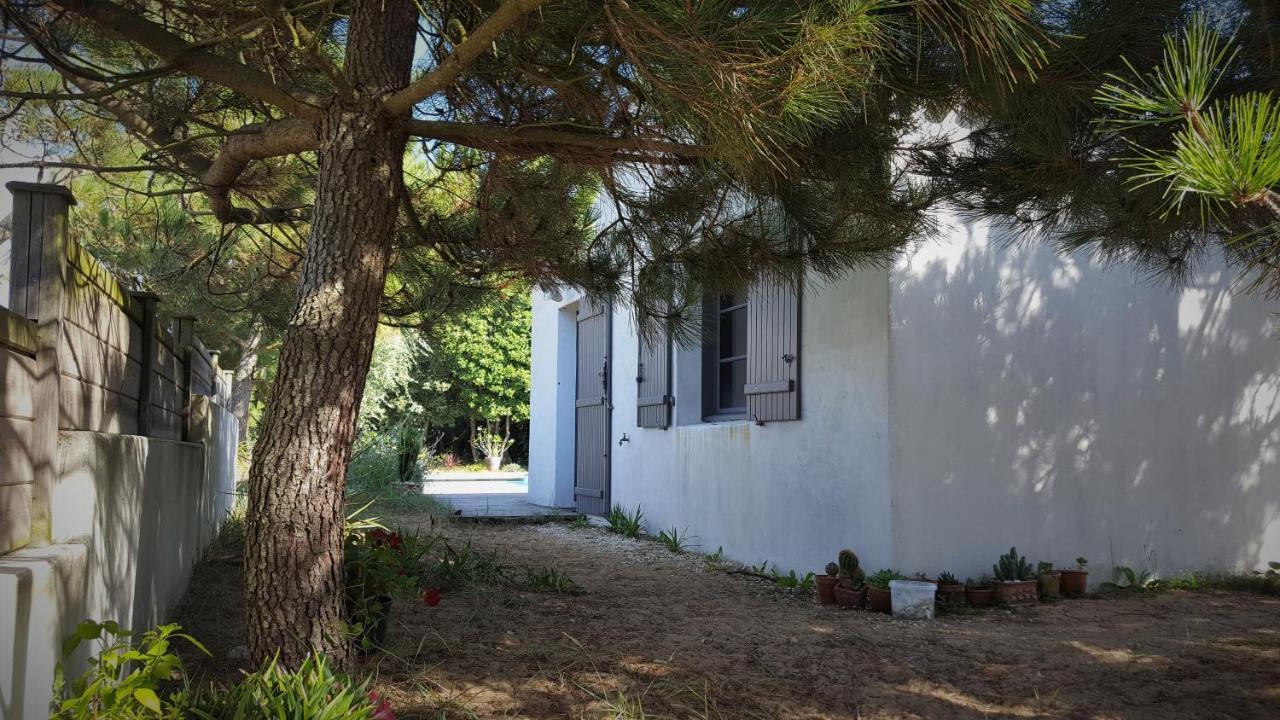Sea-Snow Guest Houses Talmont-Saint-Hilaire Екстериор снимка